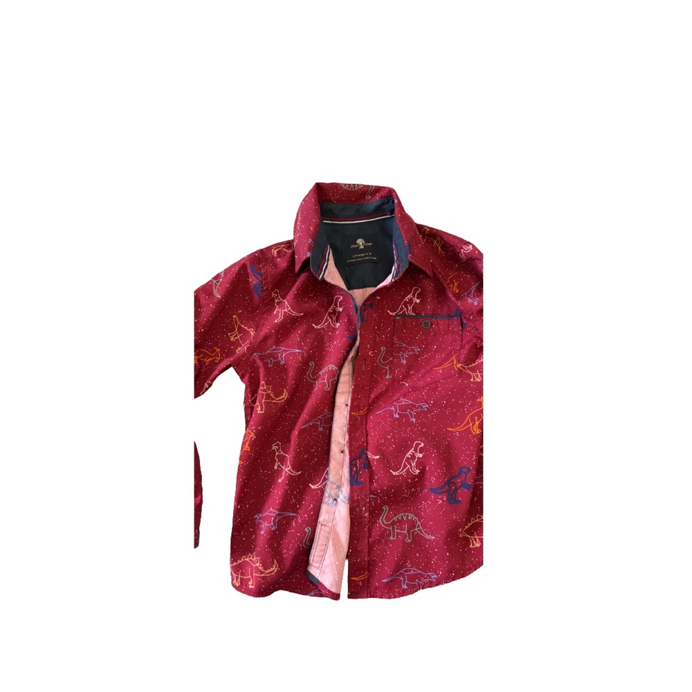 Boys Red Dinosaur Patterned Shirt